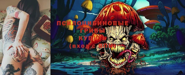 дживик Волоколамск