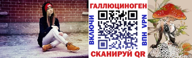 Галлюциногенные грибы Psilocybe  Тогучин 